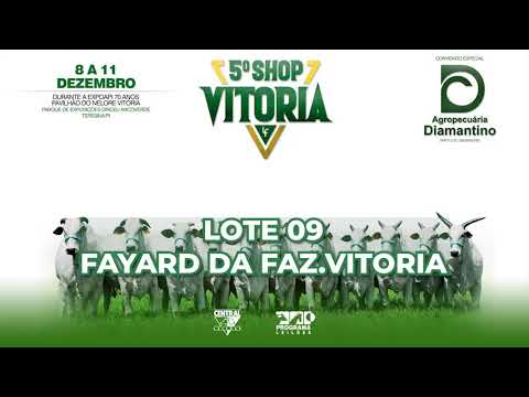 LOTE 09   LFFV 267