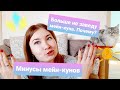 ЖИЗНЬ С МЕЙН-КУНАМИ/ МИНУСЫ ПОРОДЫ / БОЛЬШЕ НЕ ЗАВЕДУ МЕЙН-КУНА