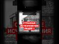 Странные исчезновения людей #интересно #мистика #истории