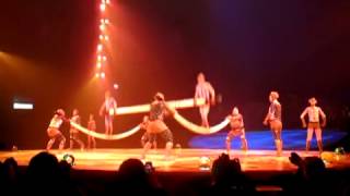 Cirque du Soleil   Totem   Russian Bars
