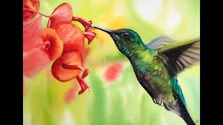 hummingbird painting background rl watercolor wet