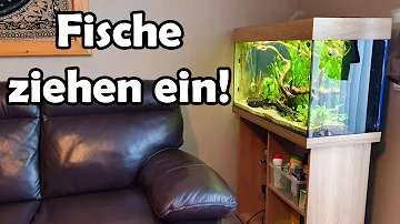 Welche Fische in welchem Monat?