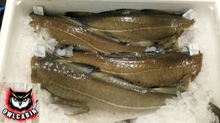 How to cook cod//Cod roe/skrei