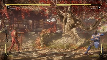 Thin Ice Sub zero BnB/Corner combo