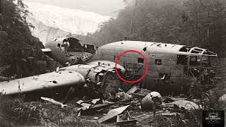 Celebrity B-24 Vanished in 1943... 16 Years Later, Chilling Discovery Exposed Their Final Moments! Profile