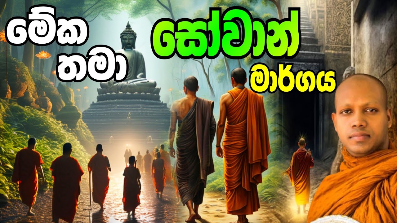 මේක තමා සෝවාන් මාර්ගය.Hasalaka Seelawimala Thero.හසලක සීලවිමල හිමි.hasalaka seelawimala thero