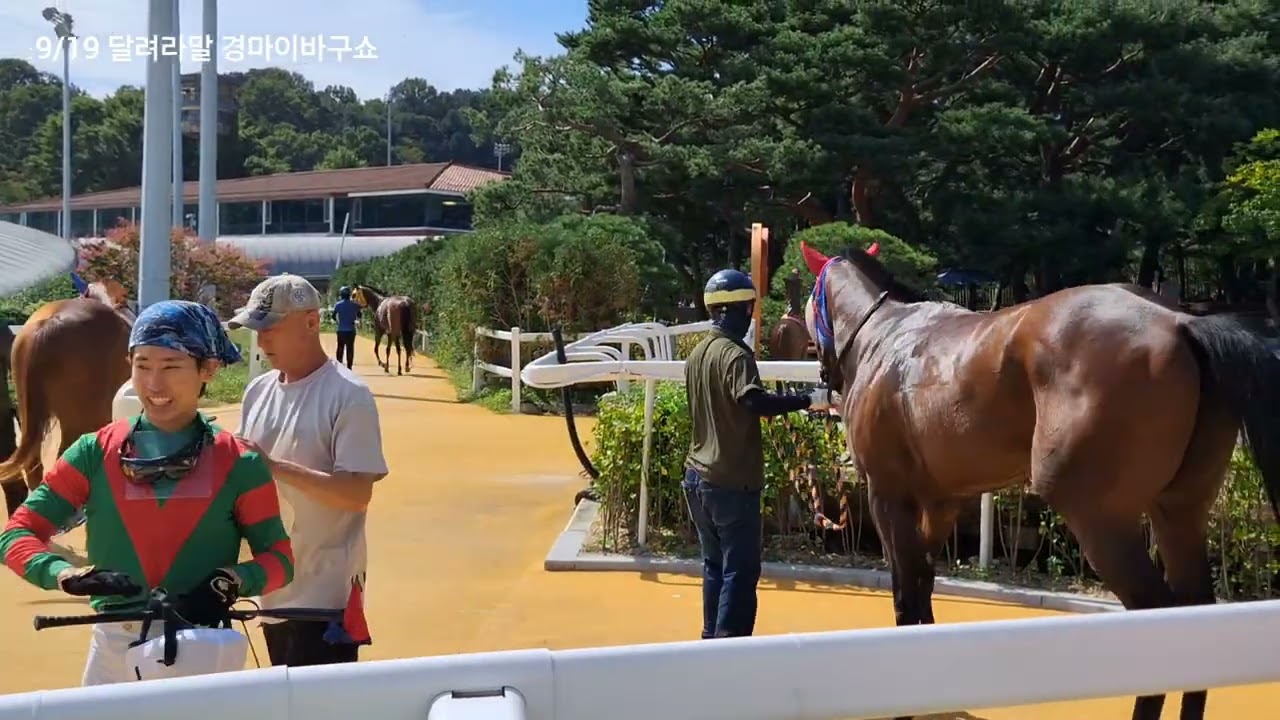 경마가 노친고기가 더 크다고 하던가!(토요경마  붙으러들어가면서~)