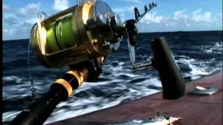 Venezuela White Marlin Study