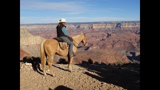 cattledrive Utah- Arizona 2017