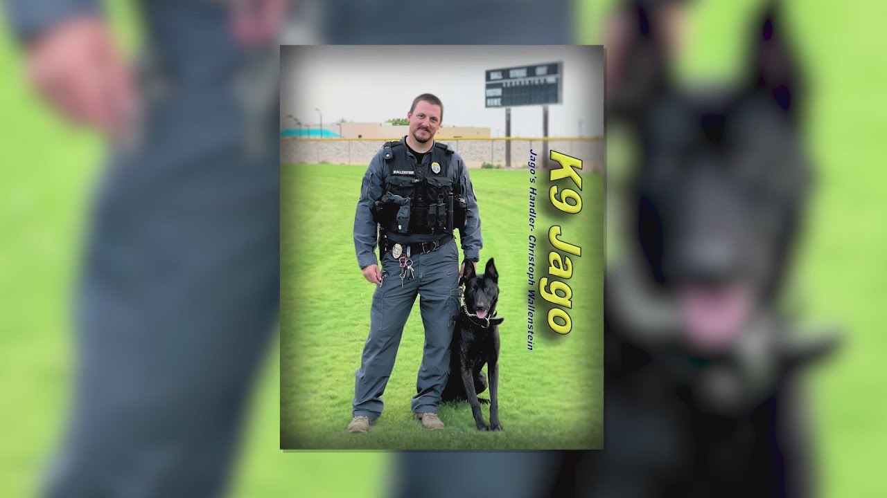 Alamogordo K9 Officer Jago has died