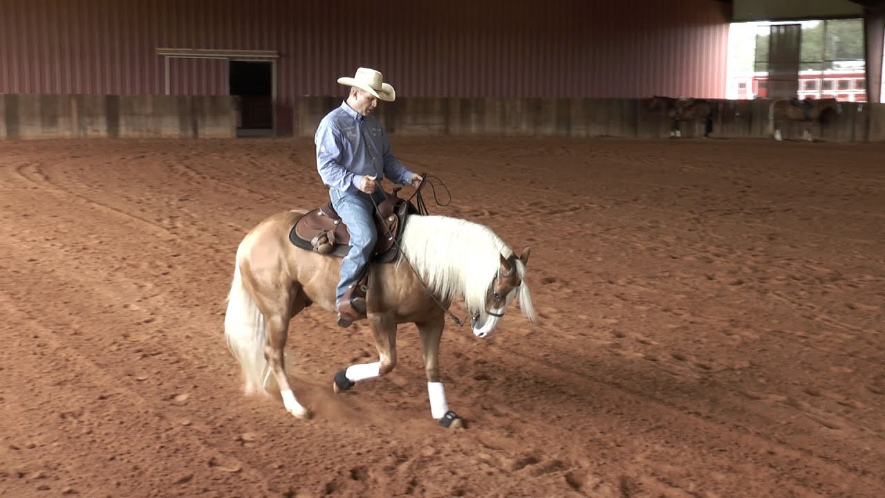 Тодд Соммерс - Hustle in the Back Up