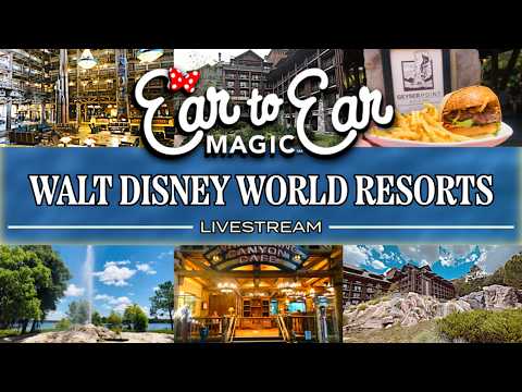 🔴 LIVE - Disney's Wilderness Lodge Resort Walking Tour Live Stream 07.14.2026