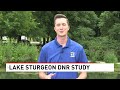 Can a Lake Sturgeon live to be over 400? This Great Lakes study says YES