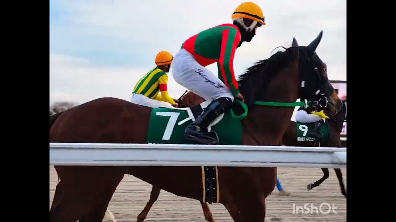 2026 02 05 笠松競馬場　ゴールドジュニア