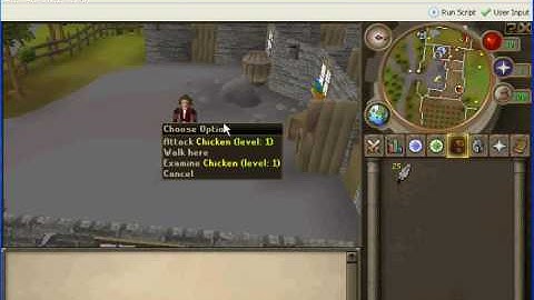 Help Me With RSBot Please