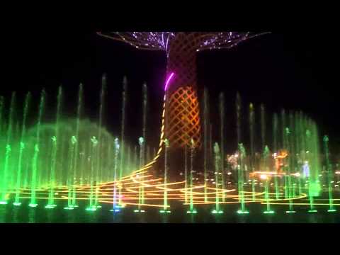 Tree of Life (L'Albero della vita) - @Expo2015