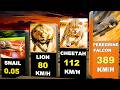 The Fastest Animals on Earth | Speed Comparison You Can't Imagine