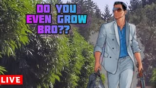 Do you even grow bro? 4th of July show
