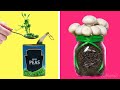 Garden hacks: Top 5 plants that can be grown at home | DIY tutorial