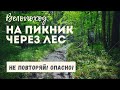 Велопоход через лесные дебри. Никогда так НЕ ДЕЛАЙ!