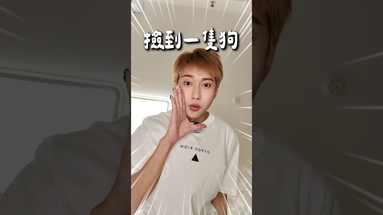 半夜凌晨回家撿到一隻狗🐶的故事! 縮圖