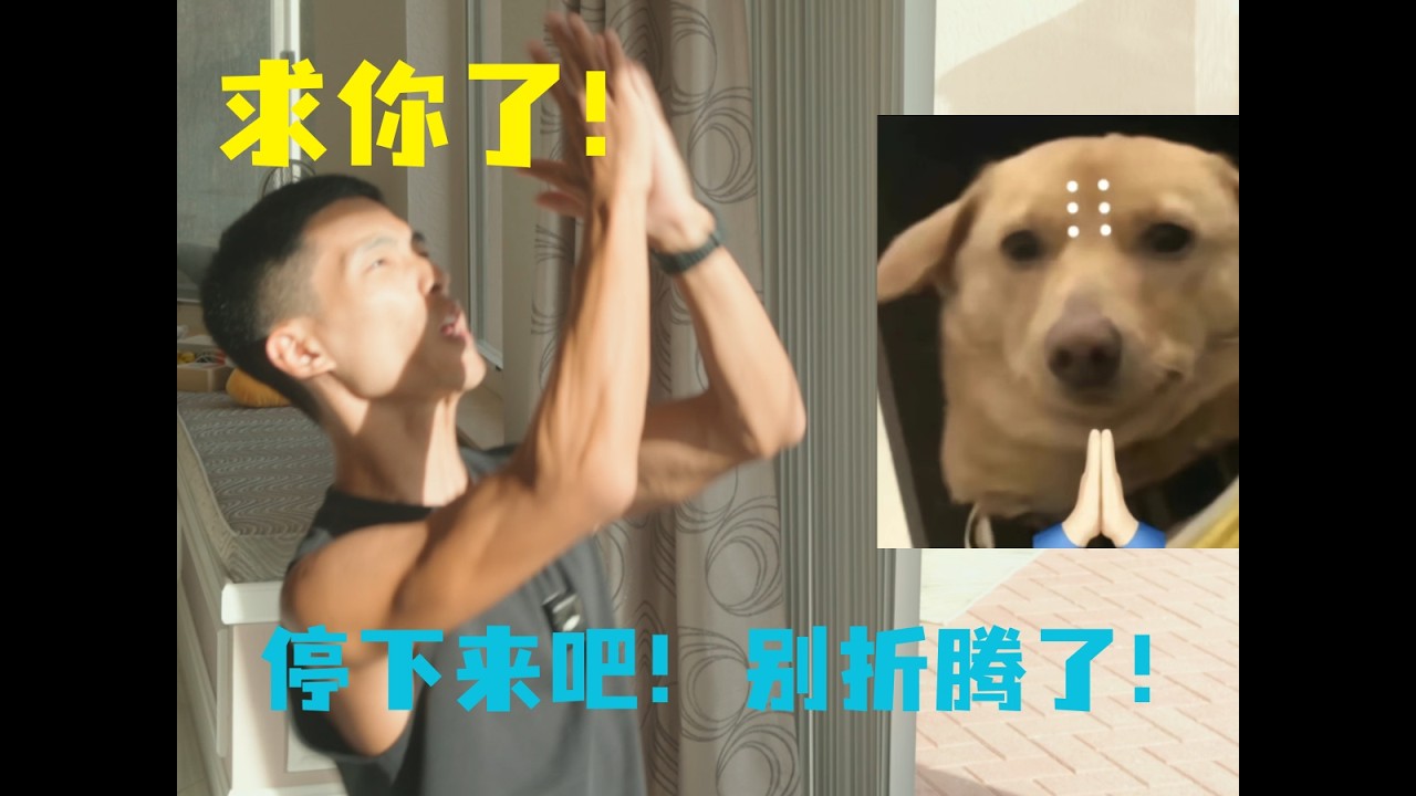 AI 时代的残酷真相：99%的人只是“知道很多”，却毫无认知