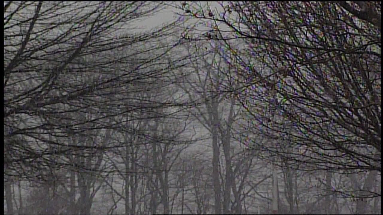 WJHL Rewind: Snow footage from Feb. 6, 2002