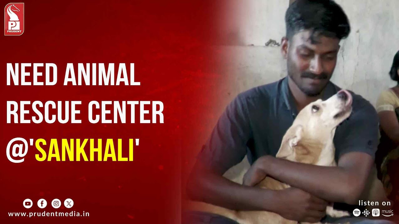 Free Animal Rescue Center Near Me