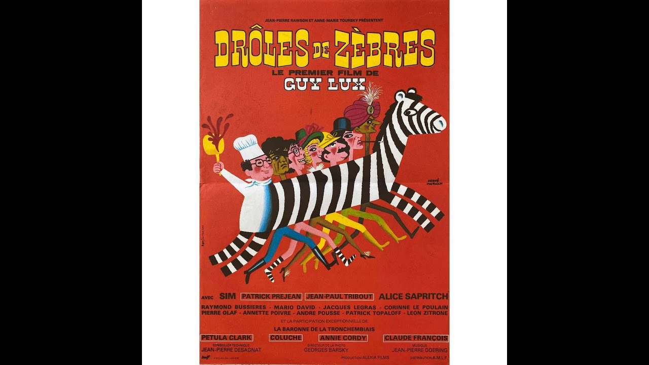 Drôles de Zèbres (Film)