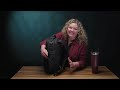 Norwalk + 20L Backpack | VETO GO