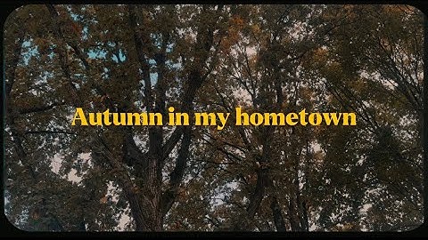 The art of autumn [ cinematic mini film ] 🎥 
