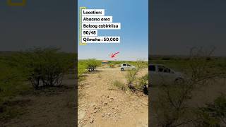 Dhul iiba #hargeisa #shorts #youtube #fyp #landforsale #dilaalnet #viralvideos #shorts #subscribe