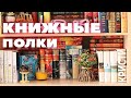 Книжные полки 2021📚Ч.1