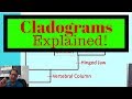 Understanding Cladograms and Evolutionary Biology