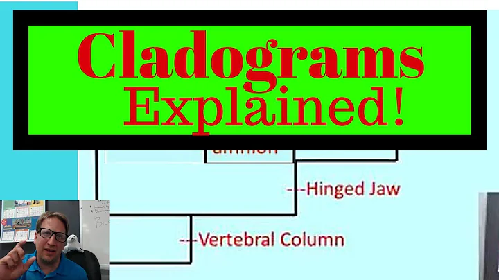 Cladograms Explained: How to Read and Make Cladograms for Exam