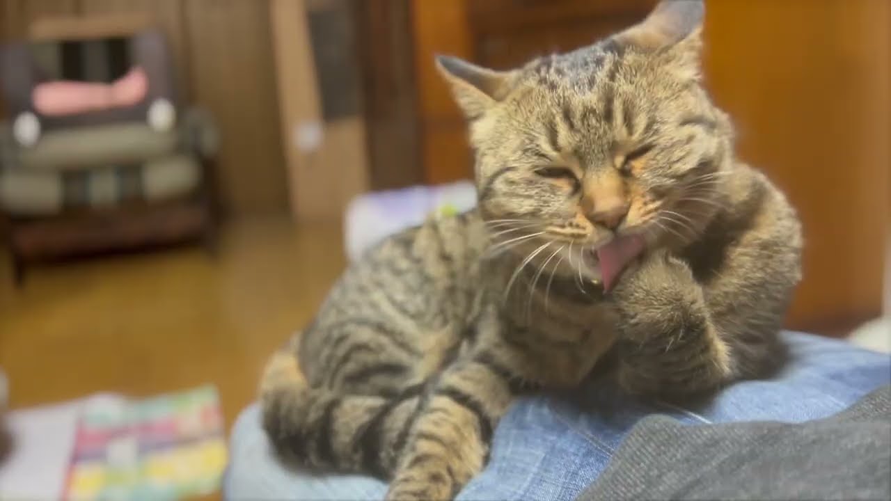 This is my best bed 20251206