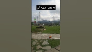خالد الجليل تلاوة قصيرة