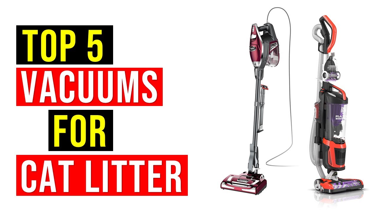 Best Vacuums For Cat Litter In 2022 Top 5 Best Latest Vacuums For Cat
