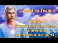 Адама из Телоса: Ваша Божественная Цель и причины пребывания здесь