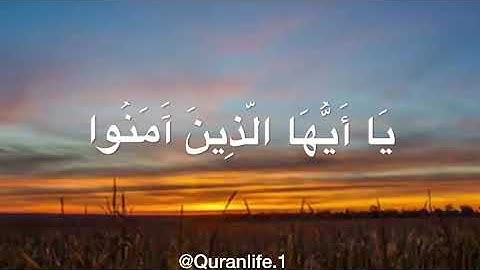 تلاوة شجيّه تهدي النفوس و القلوب - بصوت سالم الرويلي| سورة الحشر