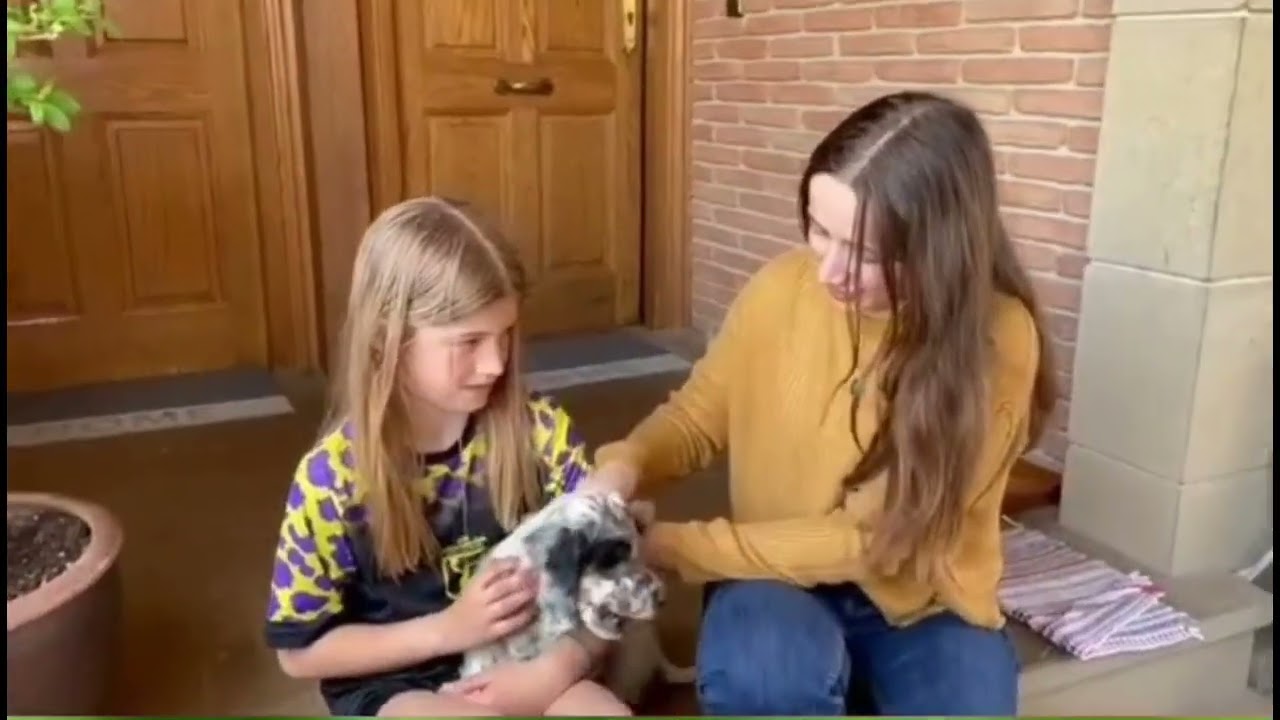 XI Festival cortos IES Tierra Estella / 6 - Manchas