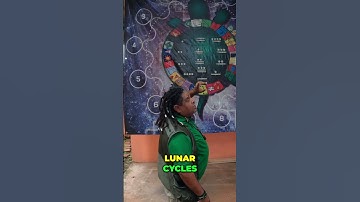 Turtle Shell Calendar: Ancient Wisdom Hidden in Plain Sight!