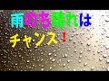 ピカピカボディいつまでも2019 PART5　偉大な雨のパワーは、ほこり落としに最適！　雨はシリコンコートの強い味方