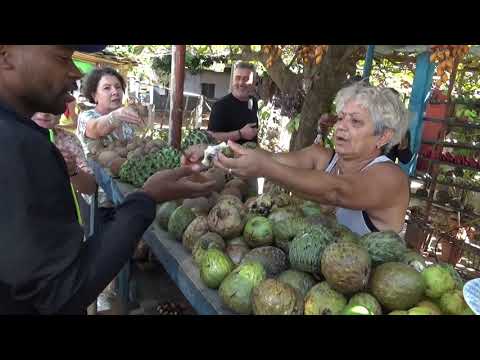 Vidéo: Comment Voyager Vers Et Depuis Cuba - Réseau Matador