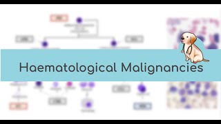 HAEMTEAM: Haematological Malignancies 😈