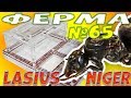 Заселение муравьёв Lasius Niger в формикарий Direct