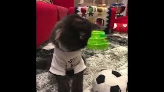 241133744 404380985 816227665 806406920 272669418 78784971 578611031 686188813 news1  1