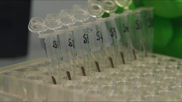 NGS library preparation protocol for solid tumour samples  - AMPure beads