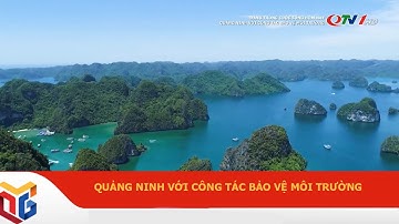 Quảng Ninh với công tác bảo vệ môi trường | Tin tức Thời sự cập nhật mới nhất