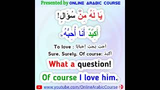 Learn Fusha Arabic English Phrases Daily With Amir - 211 shorts arabic grammar